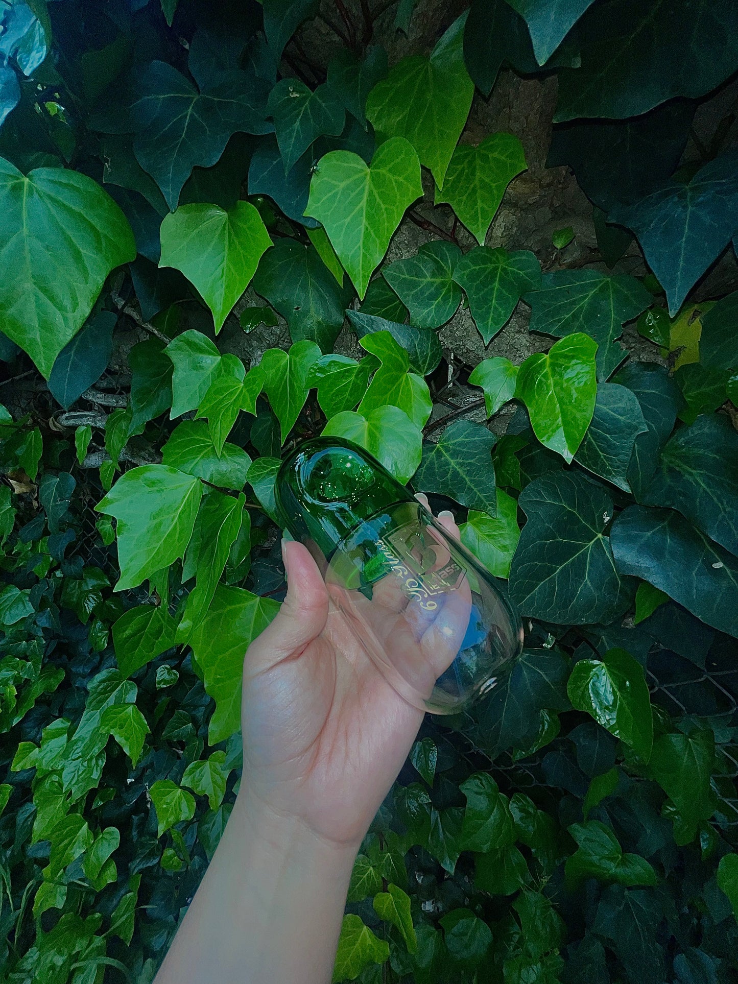 Perc pipe