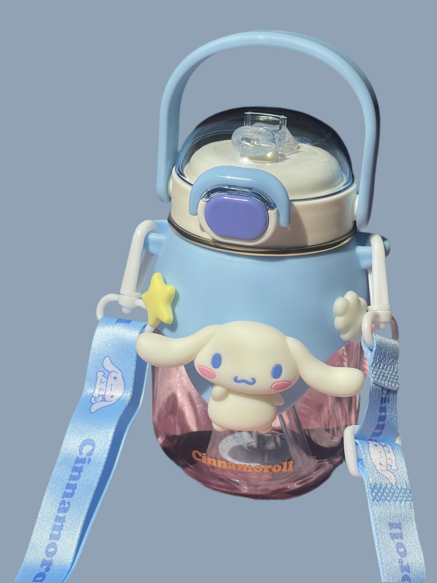 Kawaii Waterbottles
